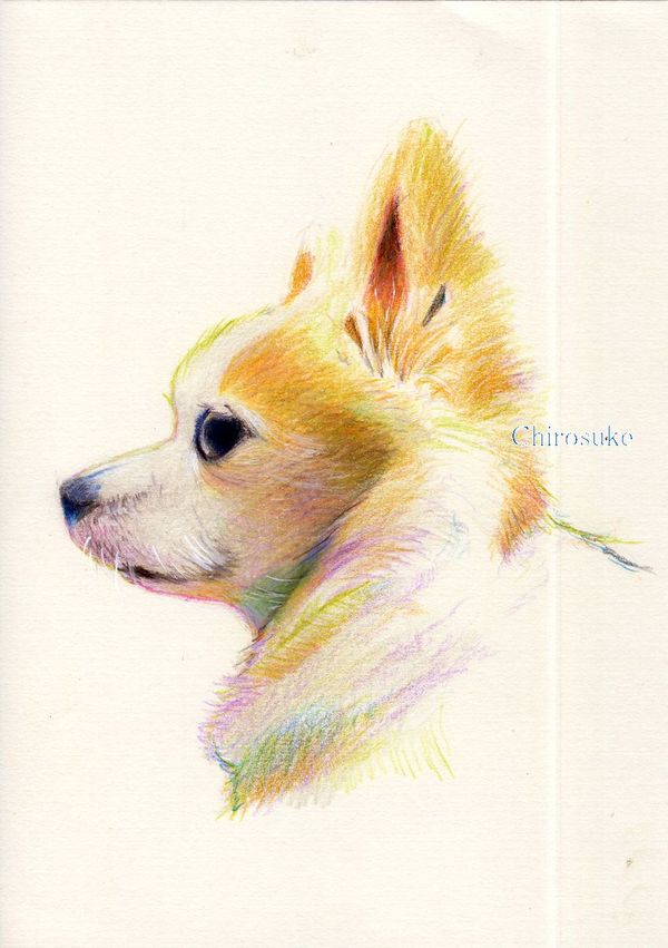 f:id:maronmame:20210301094606j:plain