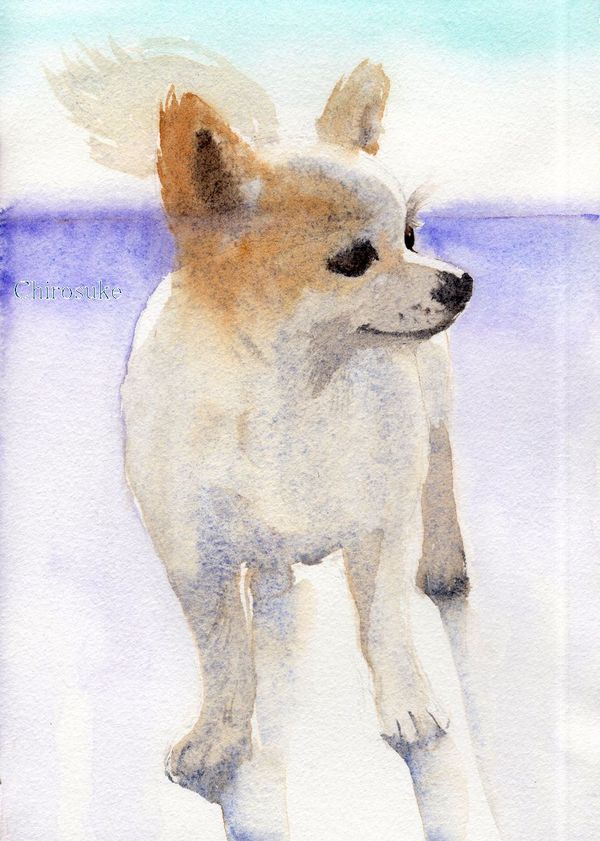 f:id:maronmame:20210306123714j:plain