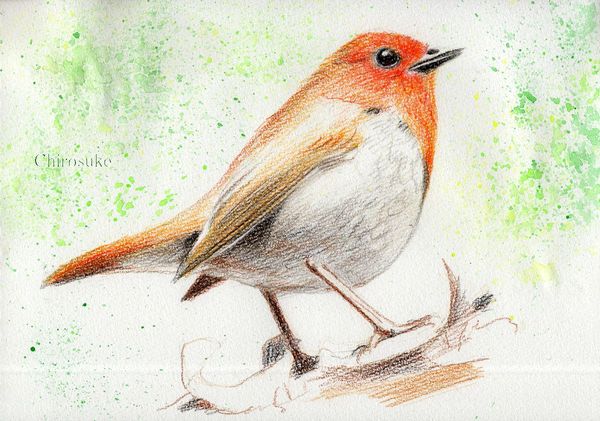 f:id:maronmame:20210306123838j:plain