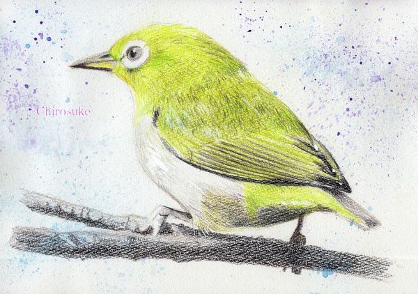 f:id:maronmame:20210306123912j:plain