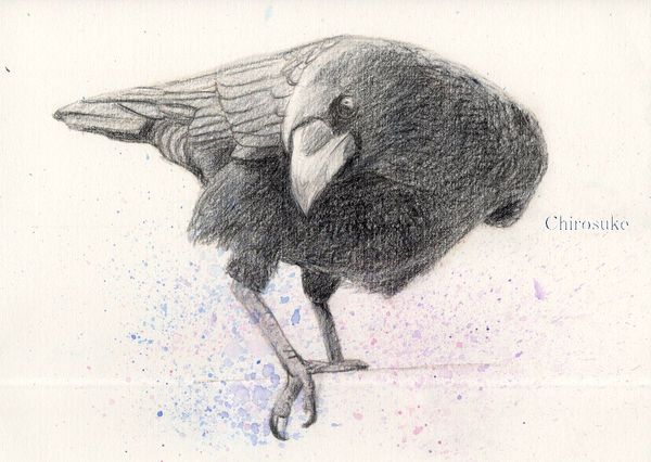 f:id:maronmame:20210306123954j:plain