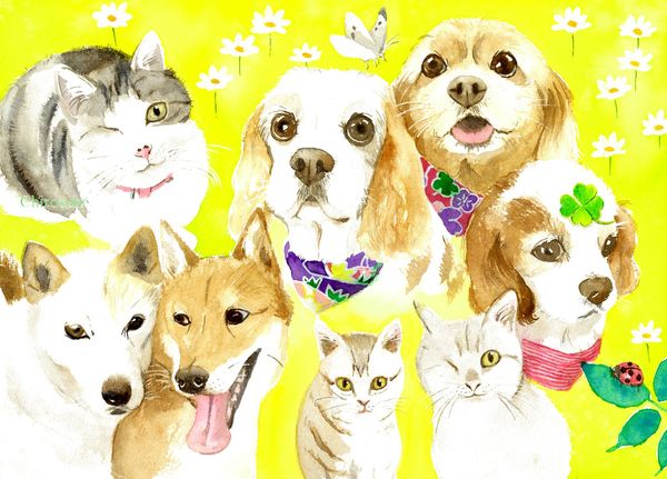 f:id:maronmame:20210306124037j:plain