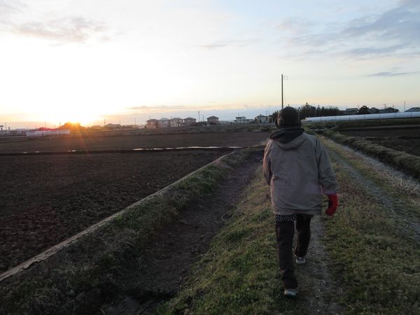 f:id:maronmame:20210306124458j:plain