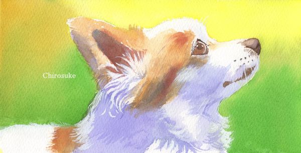 f:id:maronmame:20210419071752j:plain