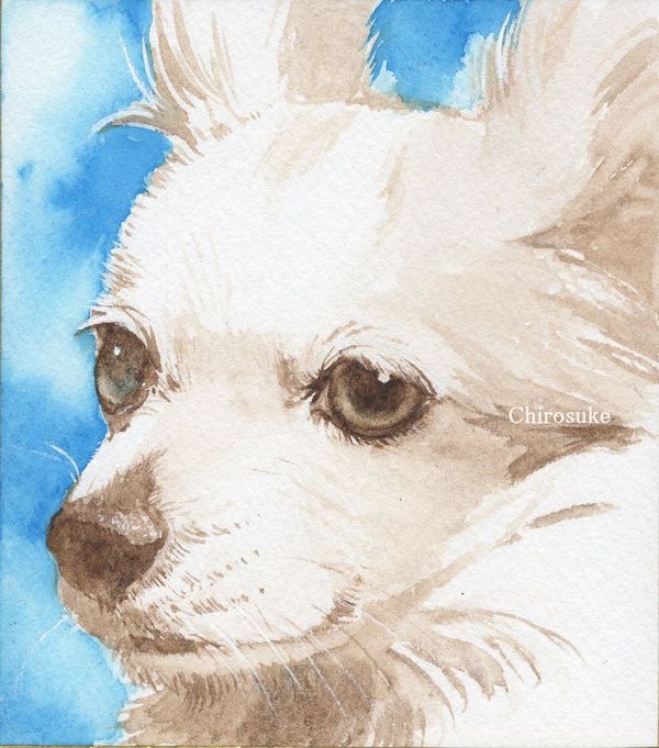 f:id:maronmame:20210419072156j:plain