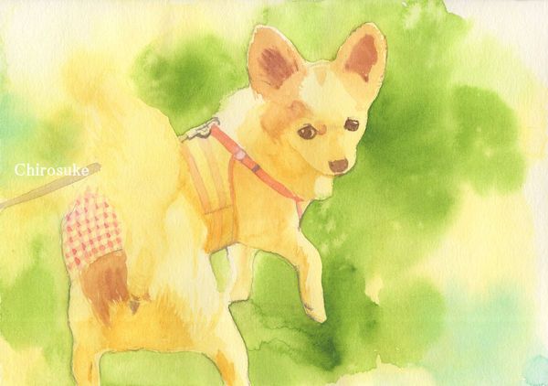 f:id:maronmame:20210419072319j:plain