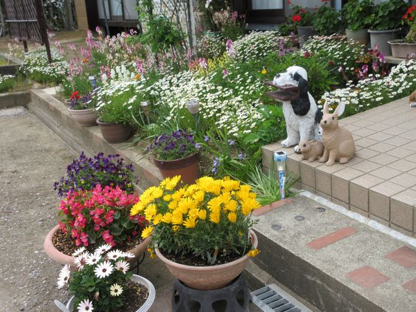 f:id:maronmame:20210419072448j:plain