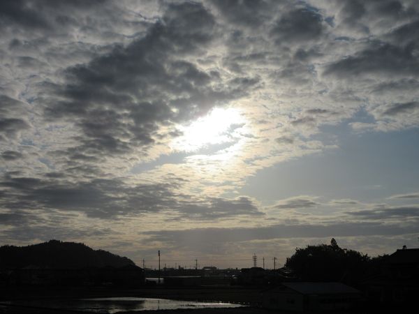 f:id:maronmame:20210419072506j:plain