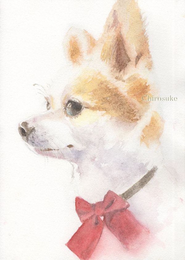 f:id:maronmame:20210424120246j:plain