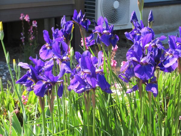 f:id:maronmame:20210424121340j:plain