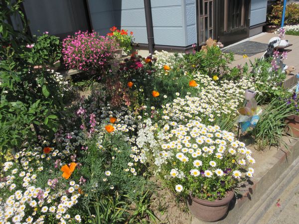 f:id:maronmame:20210424121430j:plain