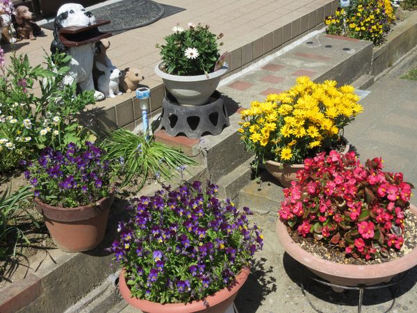 f:id:maronmame:20210424121452j:plain