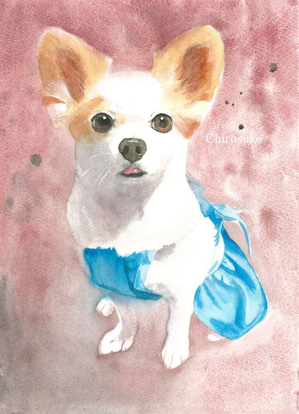 f:id:maronmame:20210428063519j:plain