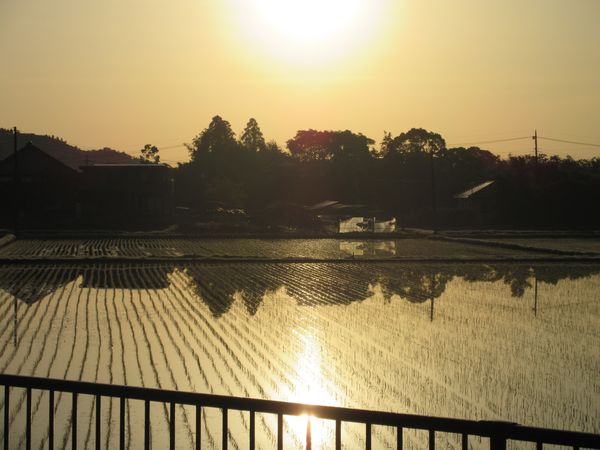 f:id:maronmame:20210428064619j:plain