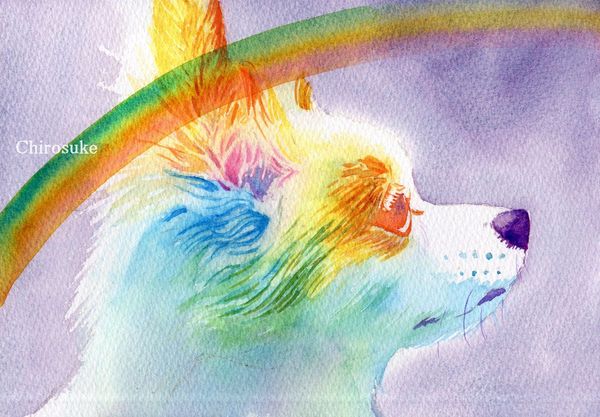 f:id:maronmame:20210518114737j:plain