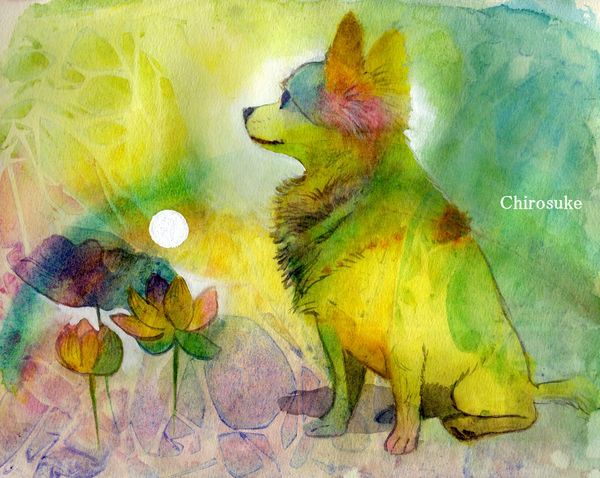 f:id:maronmame:20210518114817j:plain