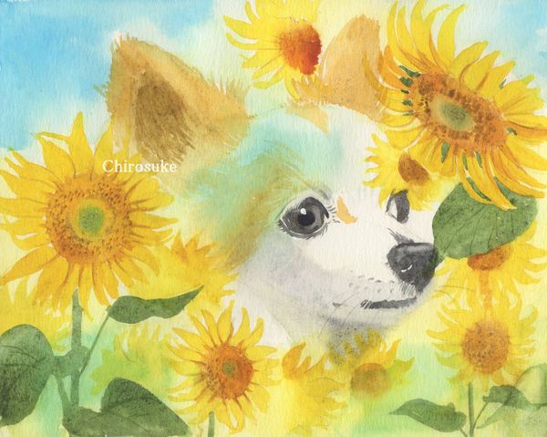 f:id:maronmame:20210518114952j:plain