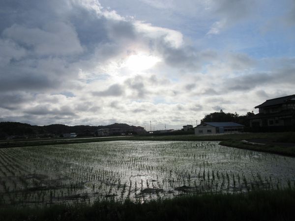 f:id:maronmame:20210518115330j:plain