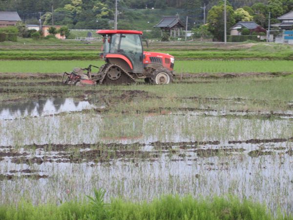 f:id:maronmame:20210518115345j:plain