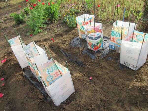 f:id:maronmame:20210518115401j:plain