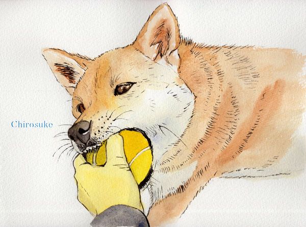 f:id:maronmame:20210529063247j:plain