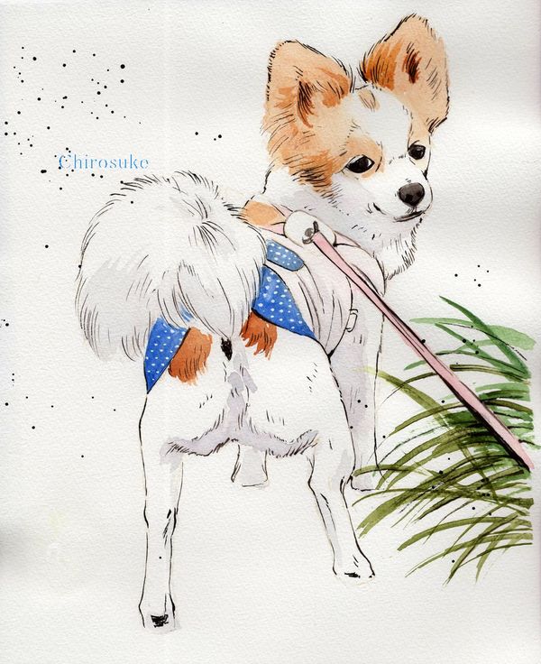 f:id:maronmame:20210529063336j:plain