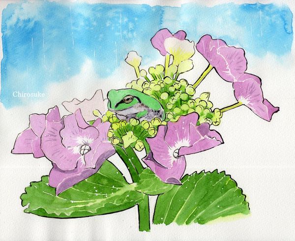 f:id:maronmame:20210529063438j:plain