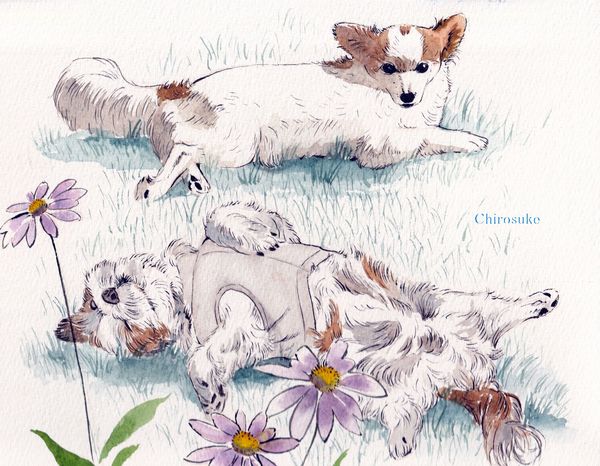 f:id:maronmame:20210615064226j:plain