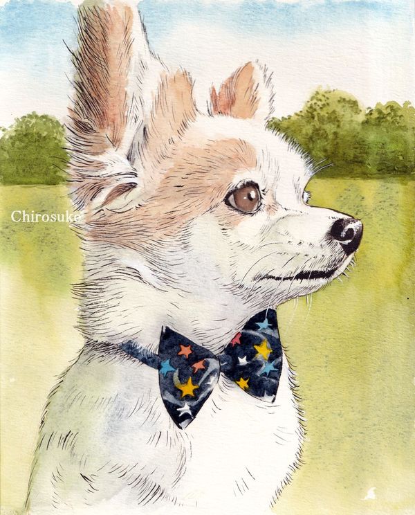 f:id:maronmame:20210615064458j:plain