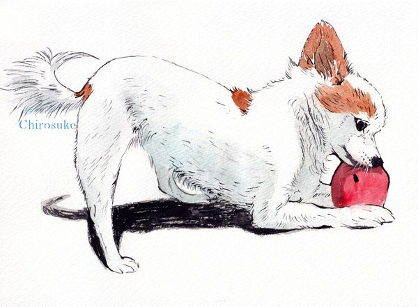 f:id:maronmame:20210615064646j:plain