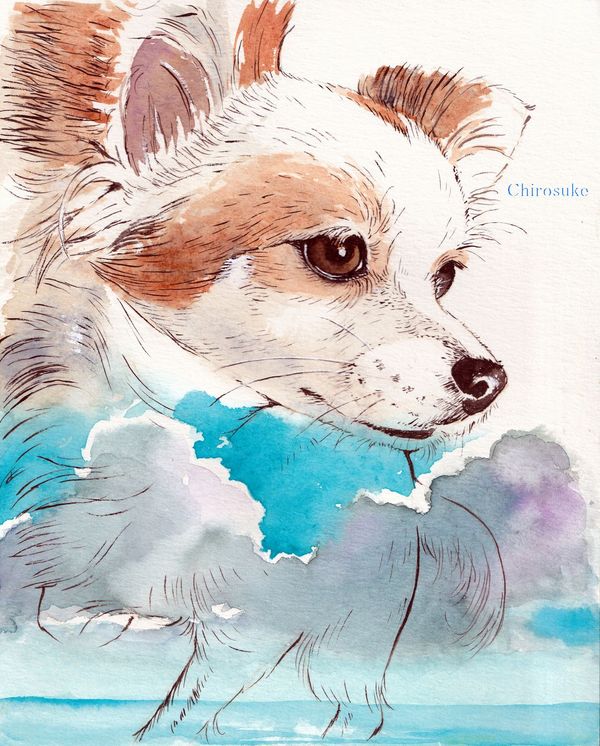 f:id:maronmame:20210615064713j:plain