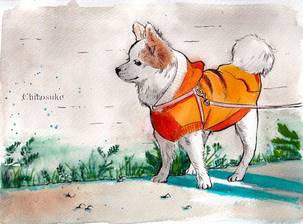 f:id:maronmame:20210621065033j:plain