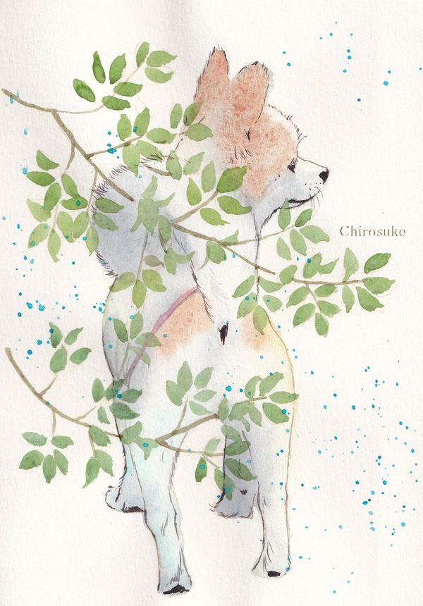 f:id:maronmame:20210621065421j:plain