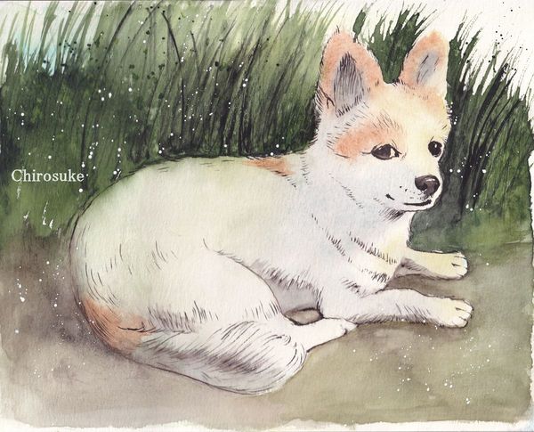 f:id:maronmame:20210621065602j:plain