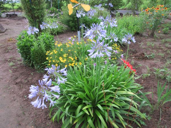 f:id:maronmame:20210621065800j:plain