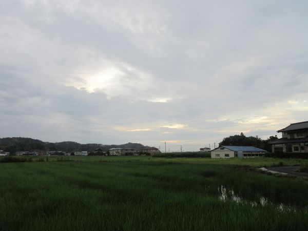 f:id:maronmame:20210621065945j:plain