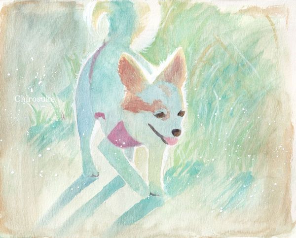 f:id:maronmame:20210705065304j:plain