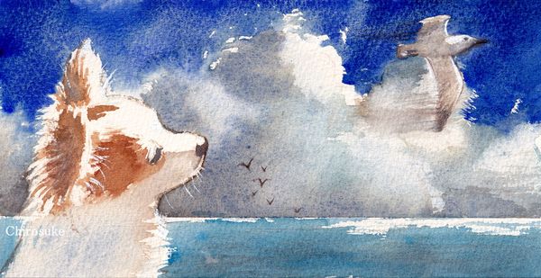 f:id:maronmame:20210705065713j:plain