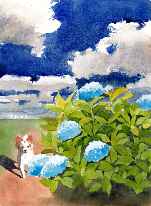 f:id:maronmame:20210705070043j:plain