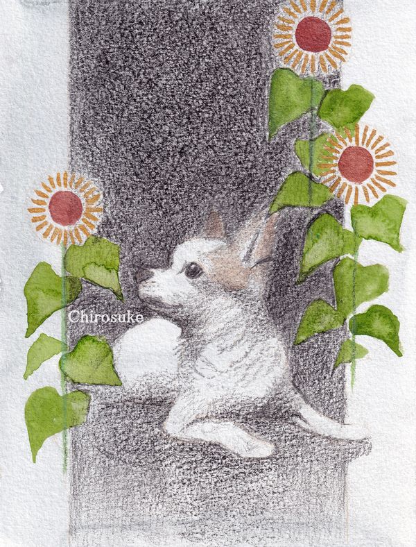 f:id:maronmame:20210705070127j:plain