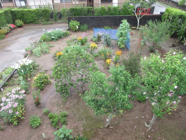 f:id:maronmame:20210705070411j:plain