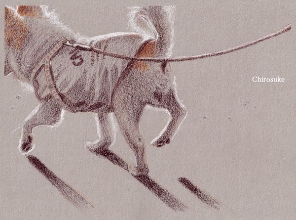 f:id:maronmame:20210720084155j:plain