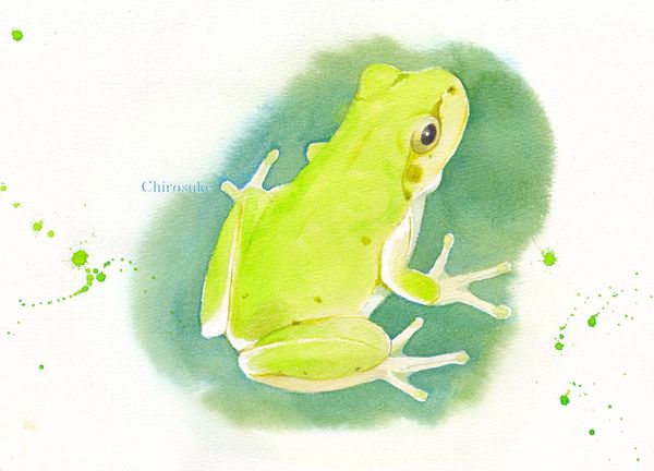 f:id:maronmame:20210720084415j:plain