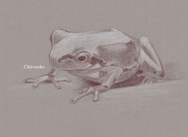 f:id:maronmame:20210720084750j:plain