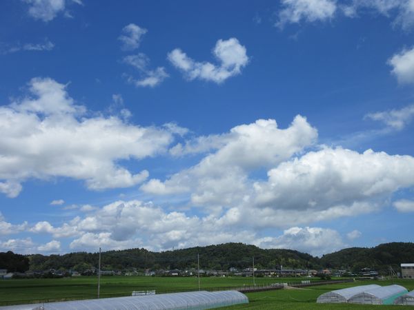 f:id:maronmame:20210720085450j:plain