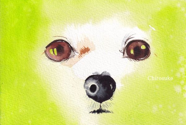 f:id:maronmame:20210812075253j:plain