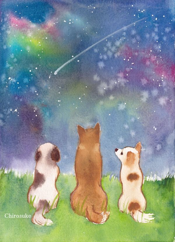 f:id:maronmame:20210812075413j:plain