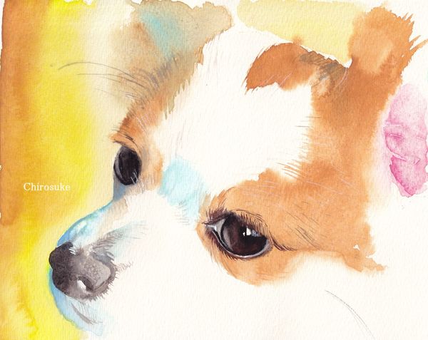 f:id:maronmame:20210812075838j:plain