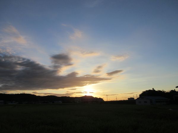 f:id:maronmame:20210812080210j:plain