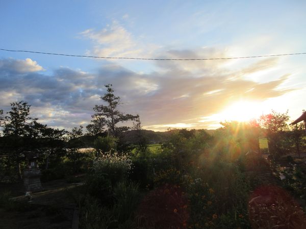 f:id:maronmame:20210812080355j:plain